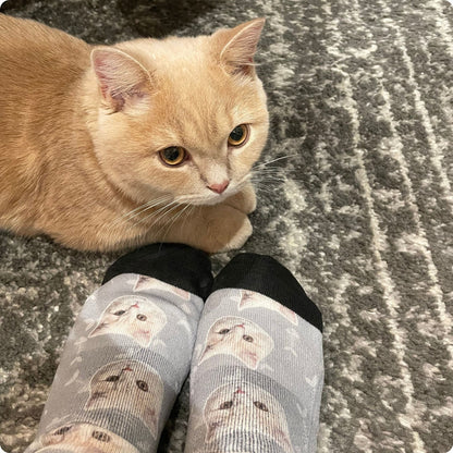 Custom Pet Socks - Pet Photo