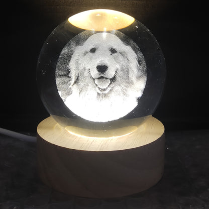 Customized Laser Engraved Memorial Crystal Ornament for Cats/Dogs with Warm Light Base