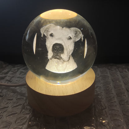 Customized Laser Engraved Memorial Crystal Ornament for Cats/Dogs with Warm Light Base