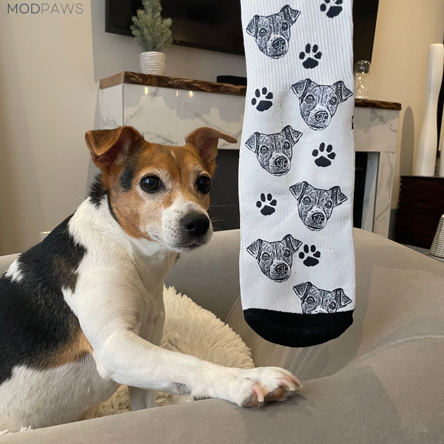 Custom Pet Socks - Pet Photo + Name