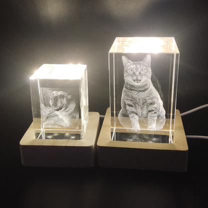 Customized Laser Engraved Memorial Crystal Ornament for Cats/Dogs, Bedside Night Light Crystal Lamp, Cat/Dog Memorial Crystal Night Light, Heartfelt Gift for Lost or Deceased Pets