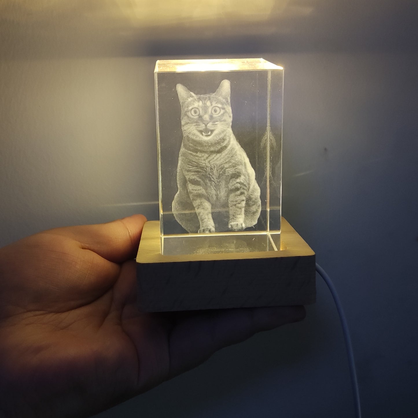 Customized Laser Engraved Memorial Crystal Ornament for Cats/Dogs, Bedside Night Light Crystal Lamp, Cat/Dog Memorial Crystal Night Light, Heartfelt Gift for Lost or Deceased Pets