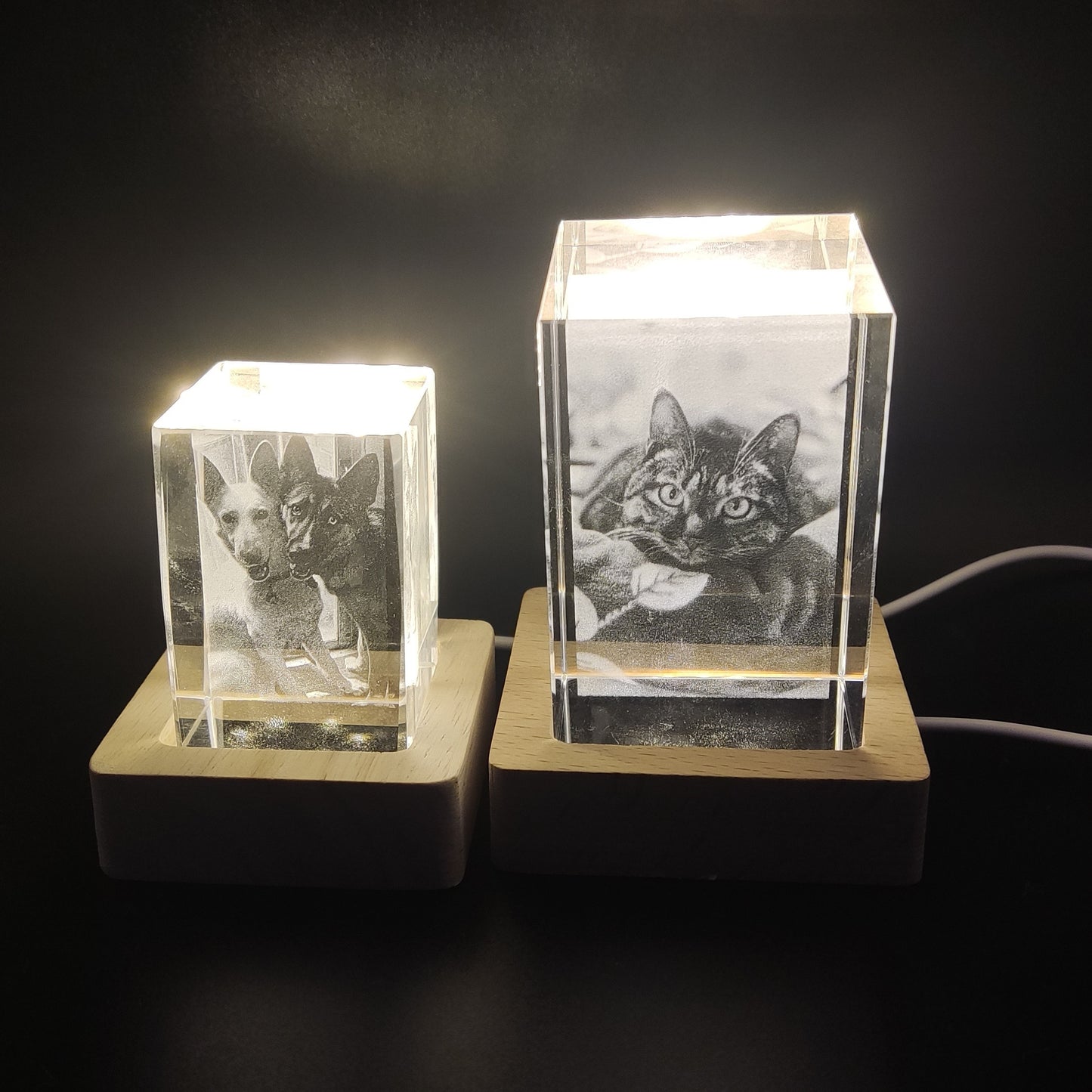 Customized Laser Engraved Memorial Crystal Ornament for Cats/Dogs, Bedside Night Light Crystal Lamp, Cat/Dog Memorial Crystal Night Light, Heartfelt Gift for Lost or Deceased Pets