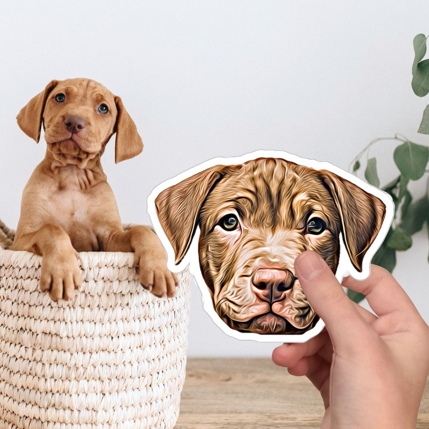 Custom Color Pet Sticker - Pet Photo